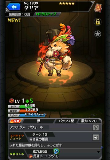 ダリア
