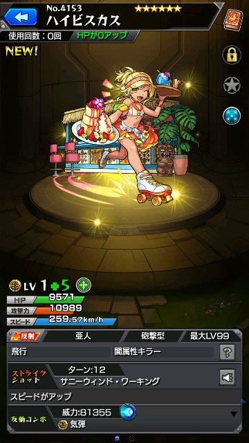ハイビスカス