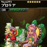 プロテア
